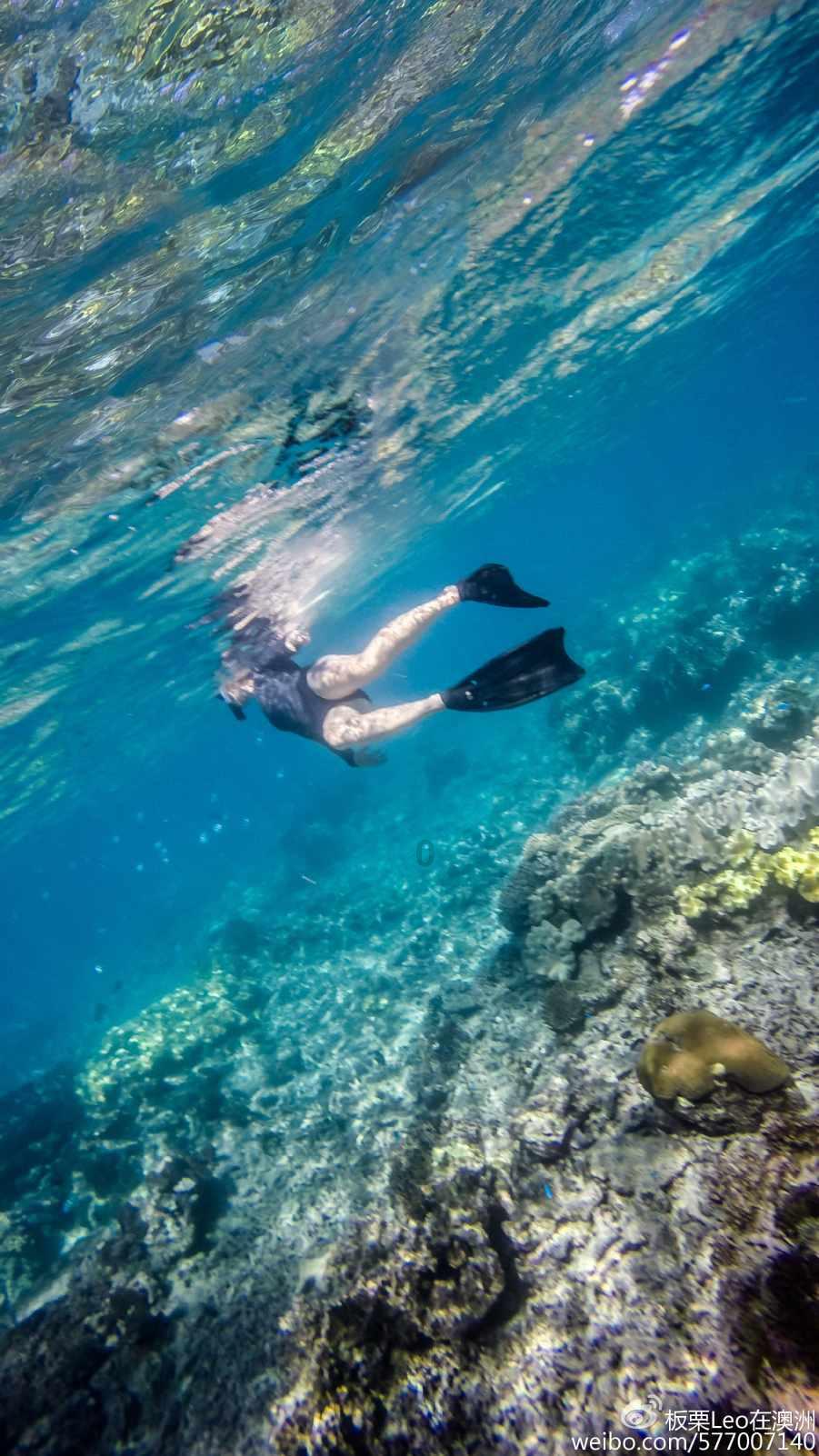 浙江日报评论员:勇当先行者 谱写新篇章 昂扬再出发